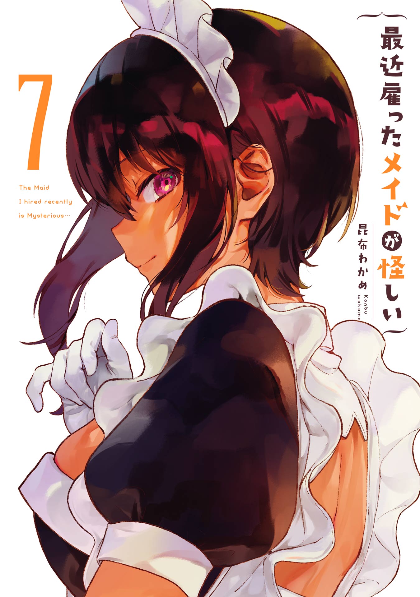 My Recently Hired Maid Is Suspicious (Serialization) 